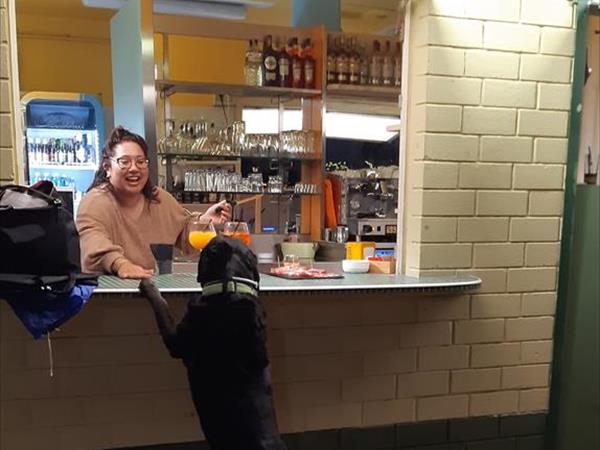 Campeggio Principina - foto 53727.jpg