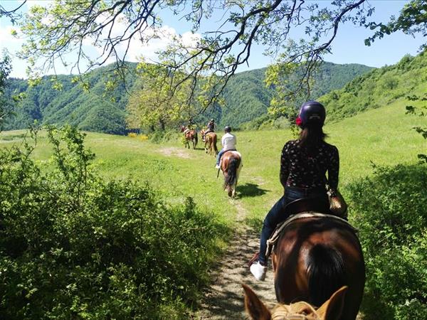 Locanda Le Isole - foto 53738.jpg