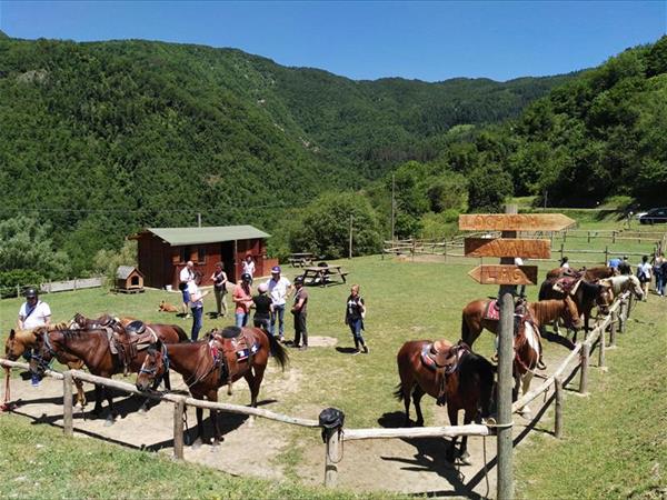 Locanda Le Isole - foto 53739.jpg