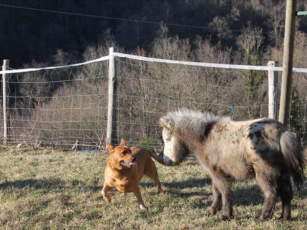 Locanda Le Isole - foto 53740.jpg