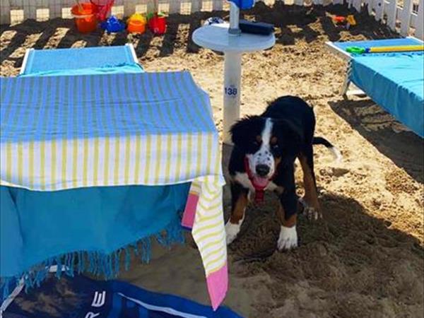 Bagno 85b Gibo  - foto 53762.jpg