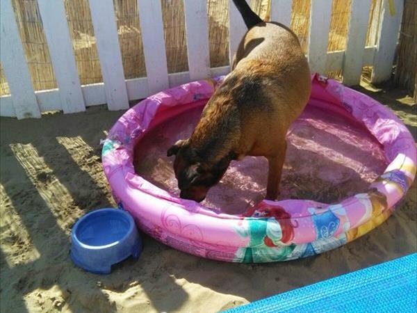 Bagno 85b Gibo  - foto 53768.jpg