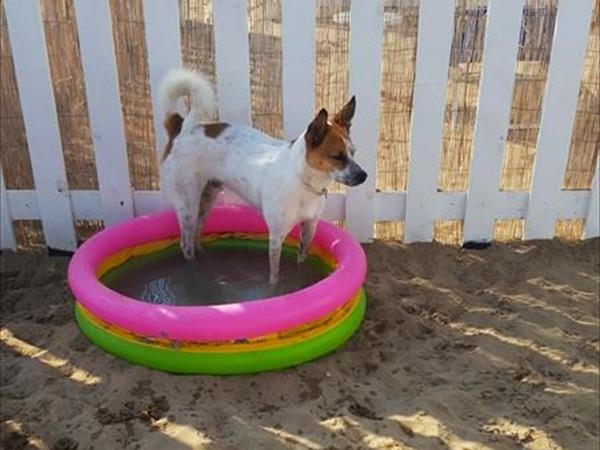 Bagno 85b Gibo  - foto 53769.jpg