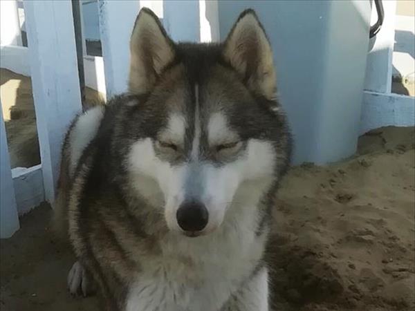 Bagno 85b Gibo  - foto 53771.jpg