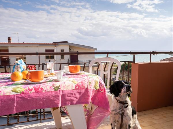 Astonishing Calabria pet friendly apts - foto 53812.jpg