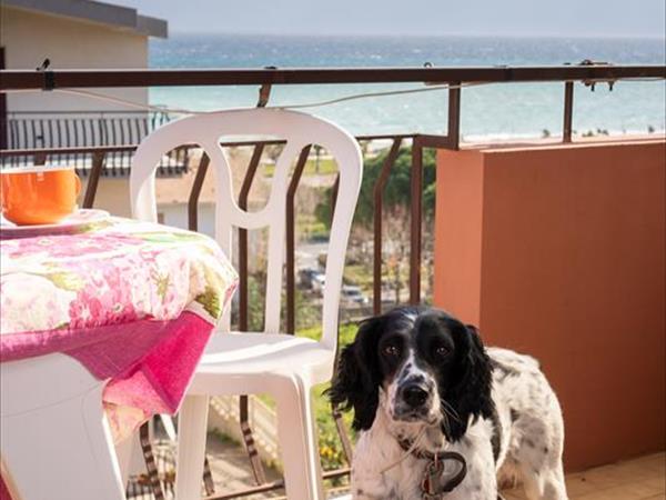 Astonishing Calabria pet friendly apts - foto 53816.jpg