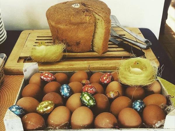 LE TRE ISOLE villaggio albergo  - foto 53853.jpg