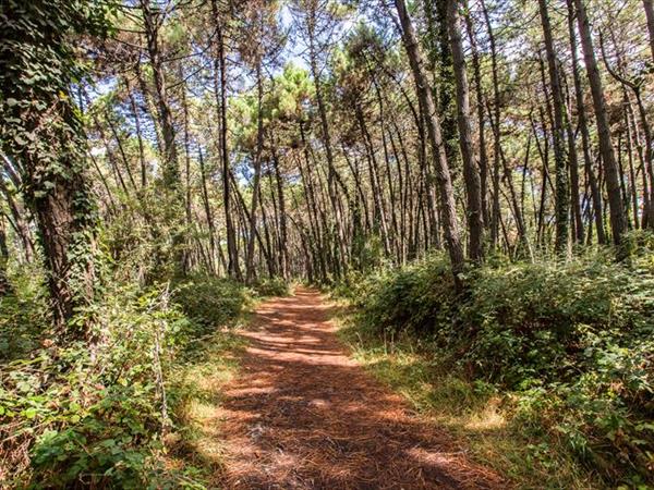 Club del Sole Sole Family Camping Village - foto 53865.jpg