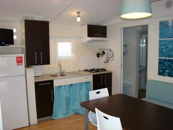 Pet Family Camping Cortina - foto 53883.jpg