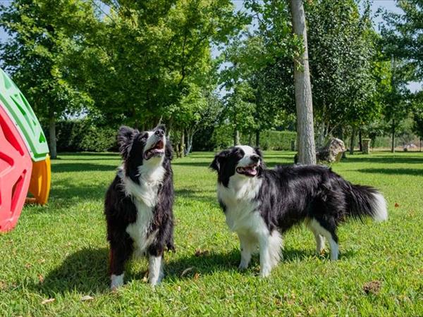 Agriturismo Il Melograno - foto 53919.jpg