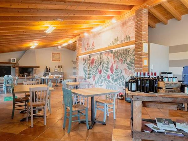 Agriturismo Il Melograno - foto 53922.jpg