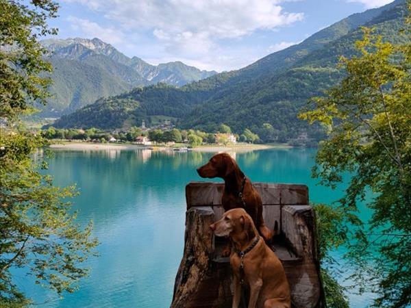 Ledro House Case Appartamenti Vacanza - foto 53980.jpg