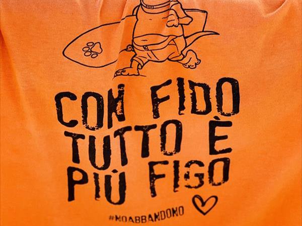 Animalido Dog Beach - foto 54000.jpg