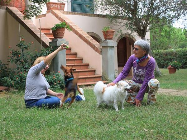 La Canova II  - foto 54027.jpg