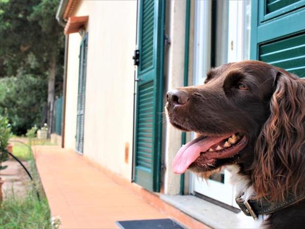 La Canova II  - foto 54028.jpg