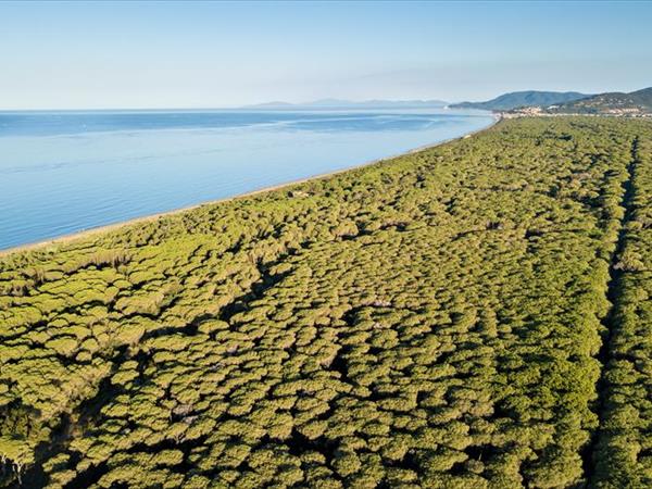 La Canova II  - foto 54033.jpg