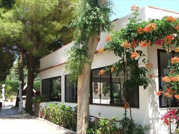 VIOLA Club Village & Camping - foto 54062.jpg