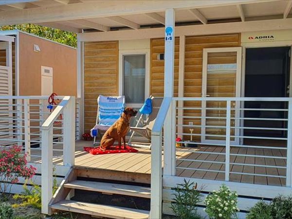 Camping Adria Riccione - foto 54078.jpg