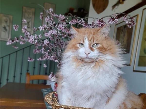 Casa Elisa - foto 54080.jpg