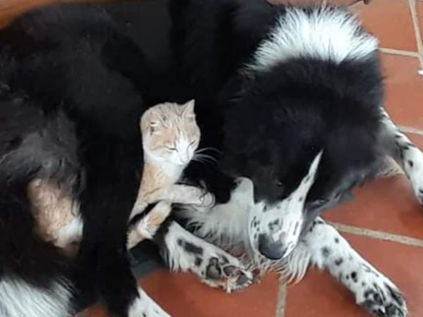 Casa Elisa - foto 54230.jpg