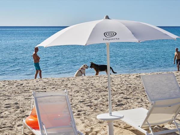 Tiliguerta Dog Beach  - foto 54253.jpg