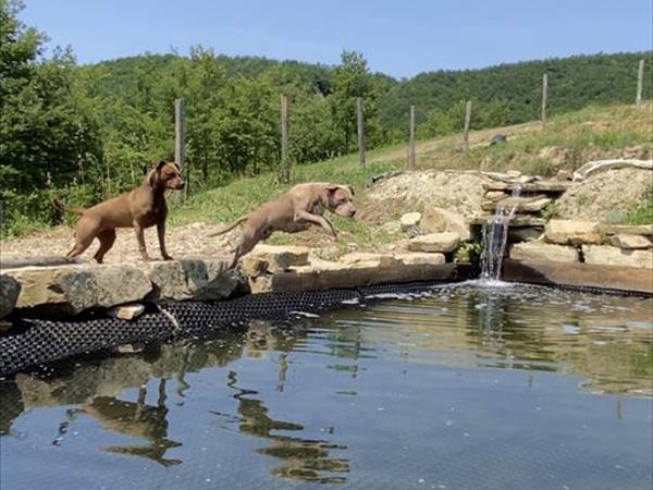 Agriturismo La Grotta dei Folletti - foto 54309.jpg