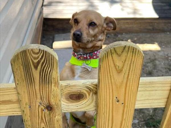 Baia dei Gabbiani - foto 54342.jpg