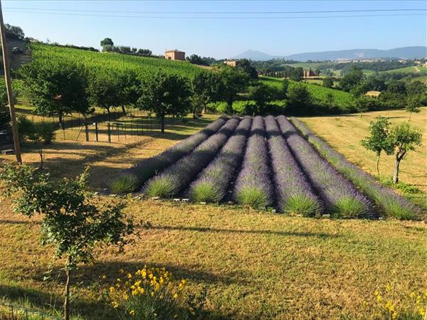 Metina - foto 54371.jpg