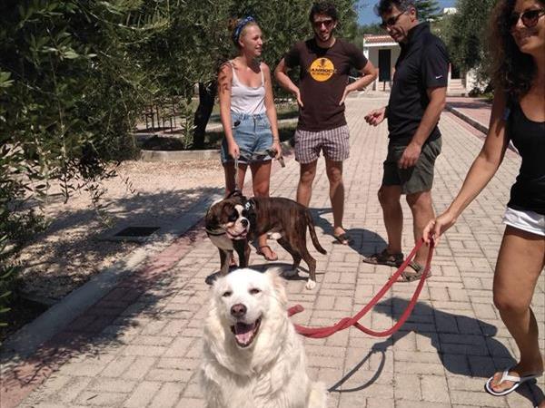 Tenuta Montincello - foto 54502.jpg