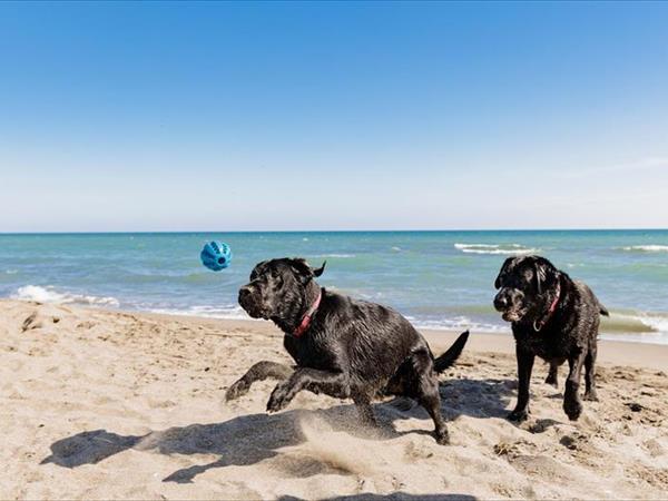 Gitavillage Club Degli Amici - foto 54509.jpg