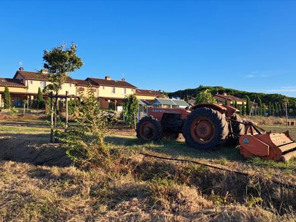 Fattoria Palazzeta  - foto 54529.jpg