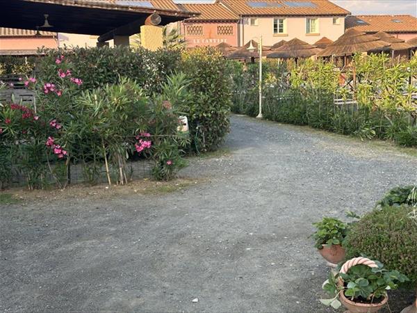 Fattoria Palazzeta  - foto 54535.jpg