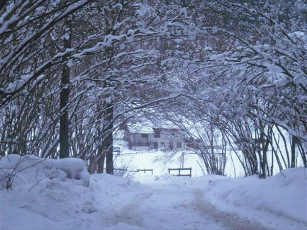 Chalet Baita nel bosco Ledro - foto 54564.jpg
