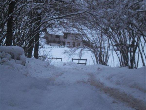 Chalet Baita nel bosco Ledro - foto 54565.jpg