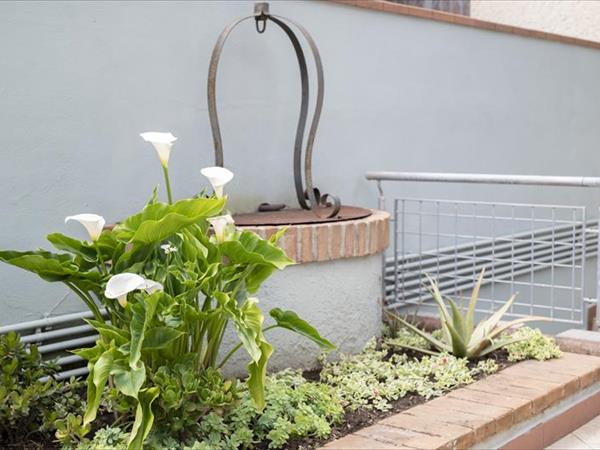 Villette Principessa e Le Case di Salvia - foto 54568.jpg