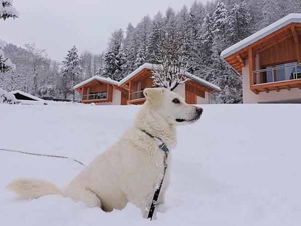 Villaggio Val Molini - foto 54599.jpg