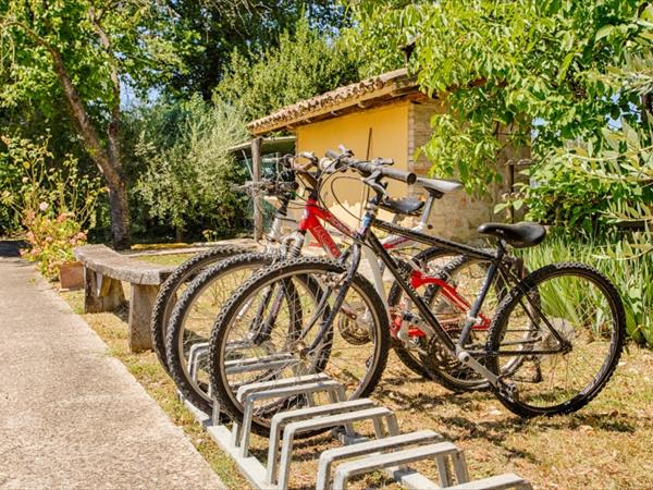 Agriturismo La Mora - foto 54623.jpg