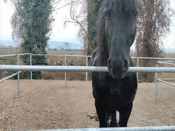 Agriturismo La Mora - foto 54629.jpg