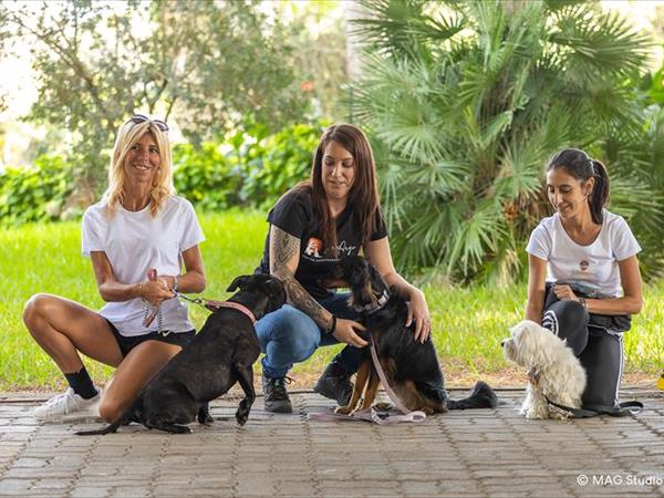 Horse Country Resort Congress & SPA  - foto 54639.jpg