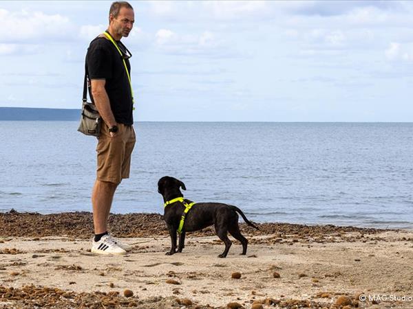 Horse Country Resort Congress & SPA  - foto 54641.jpg