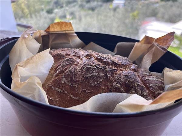 B&B Le Cicale - foto 54651.jpg