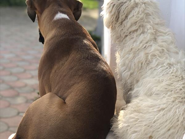 B&B Le Cicale - foto 54652.jpg