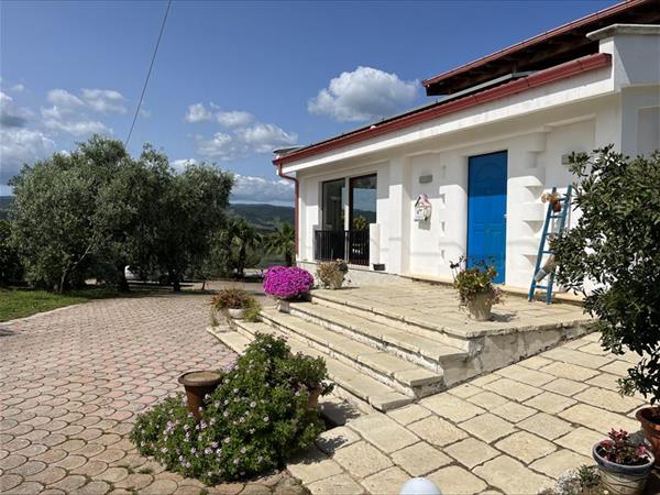 B&B Le Cicale - foto 54661.jpg