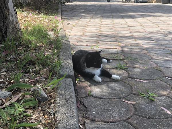 B&B Le Cicale - foto 54662.jpg