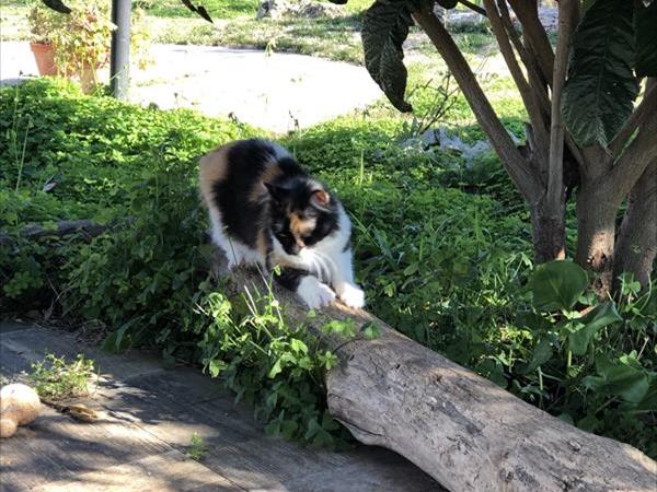 B&B Le Cicale - foto 54663.jpg