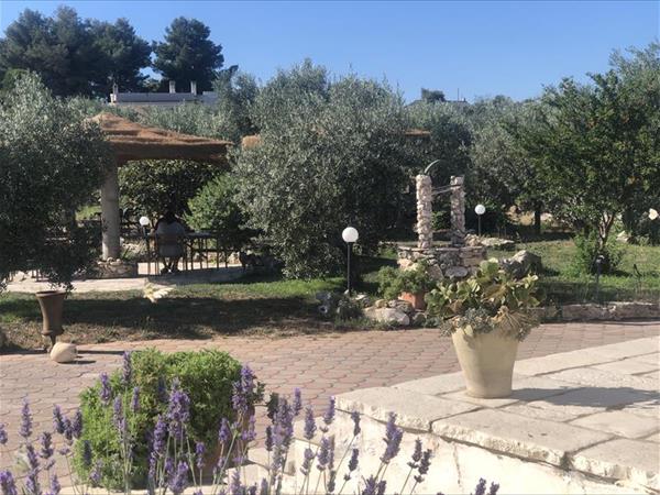 B&B Le Cicale - foto 54664.jpg