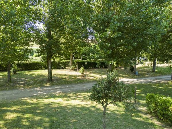 Camping Paradise - foto 54765.jpg