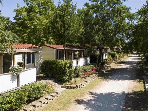 Camping Paradise - foto 54768.jpg