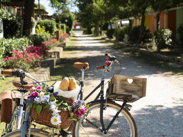 Camping Paradise - foto 54769.jpg