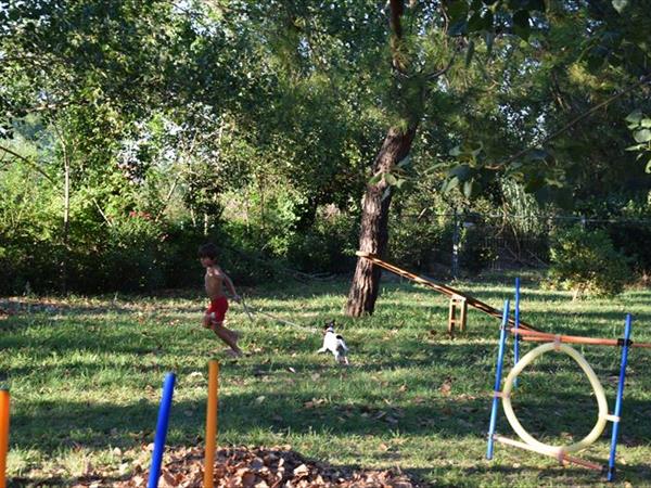 Camping Paradise - foto 54772.jpg